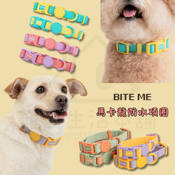 BITE ME馬卡龍防水項圈 狗項圈 貓項圈 寵物項圈 biteme