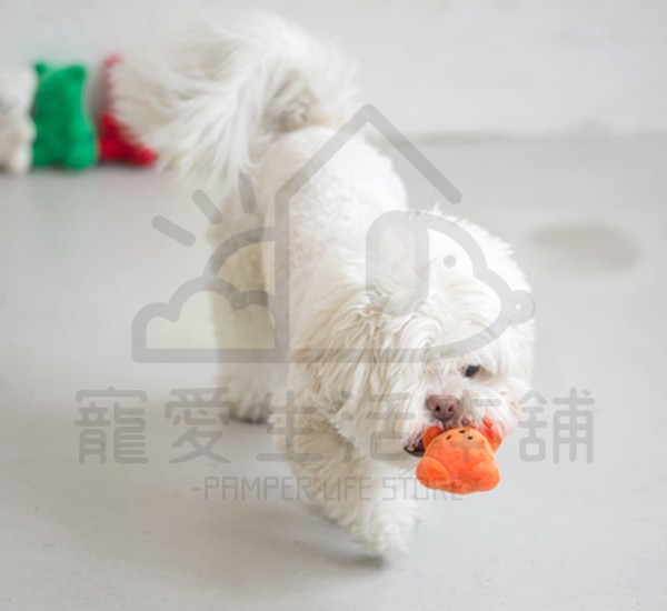 BITE ME小熊軟糖發聲玩具 寵物玩具 狗玩具 biteme：圖片 6