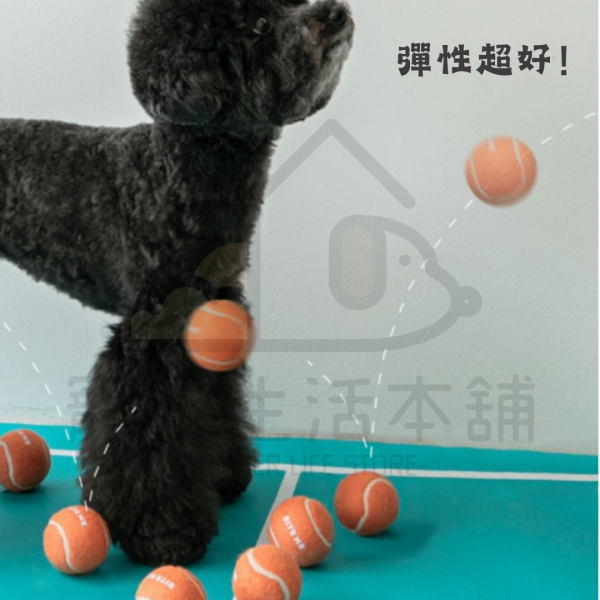 BITE ME寵物迷你發聲網球 狗玩具 玩具球 biteme：圖片 3