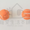 BITE ME寵物迷你發聲網球 狗玩具 玩具球 biteme