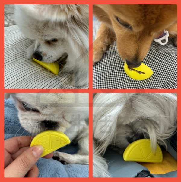 BITE ME矽膠嗅聞檸檬玩具 狗玩具 絨毛玩具 寵物玩具 biteme：圖片 4