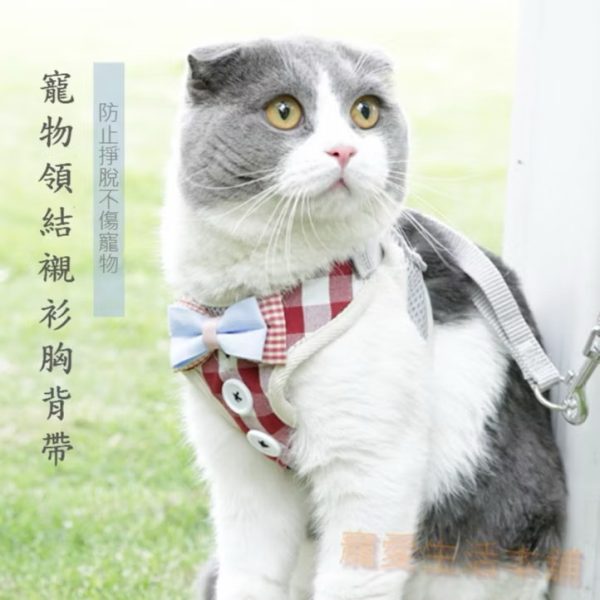 領結襯衫背心式胸背帶