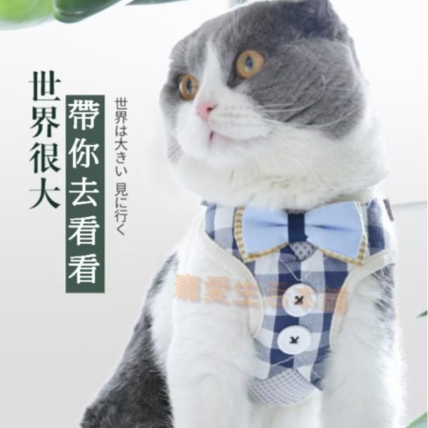 領結襯衫背心式胸背帶