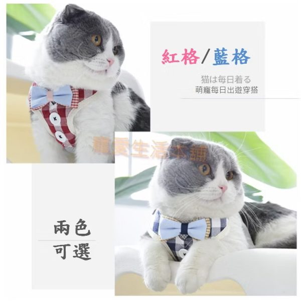 領結襯衫背心式胸背帶