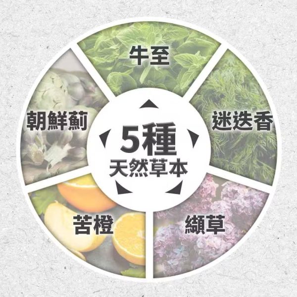 西班牙迪貝可大型犬糧15kg