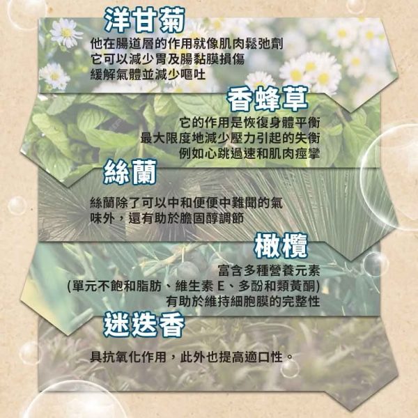 西班牙 烘焙益生 迪貝可 貓糧3kg/14kg