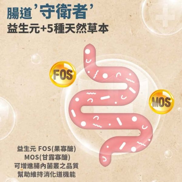 烘焙益生 西班牙 迪貝可 幼貓糧1.5kg