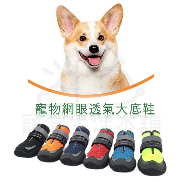 寵物透氣網眼大底鞋