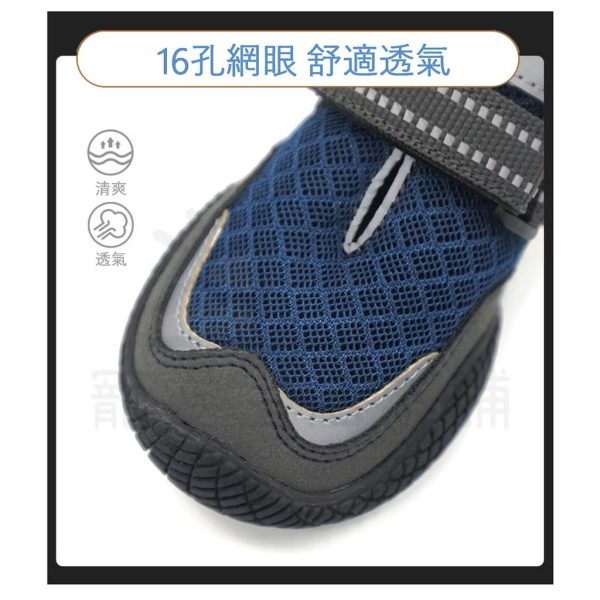 寵物透氣網眼大底鞋