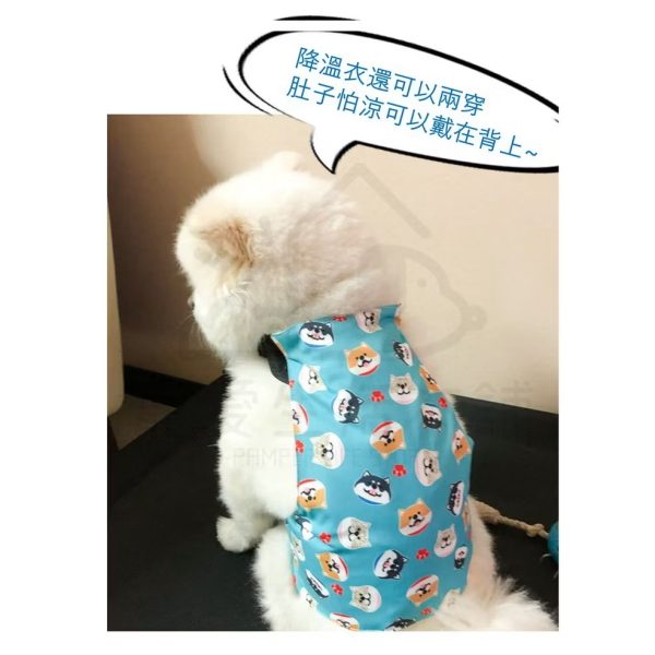 寵物降溫肚兜＋圍脖套裝 冰衣