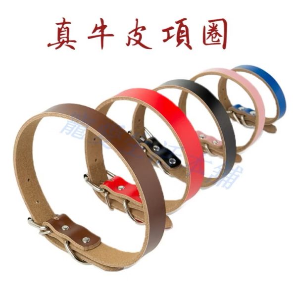 寵物真牛皮項圈