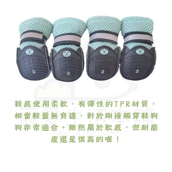寵物透氣拉鍊軟底鞋