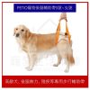 petio寵物後腳輔助帶1 petio寵物後腳輔助帶