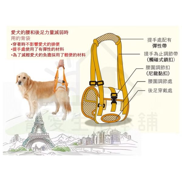 petio寵物後腳輔助帶