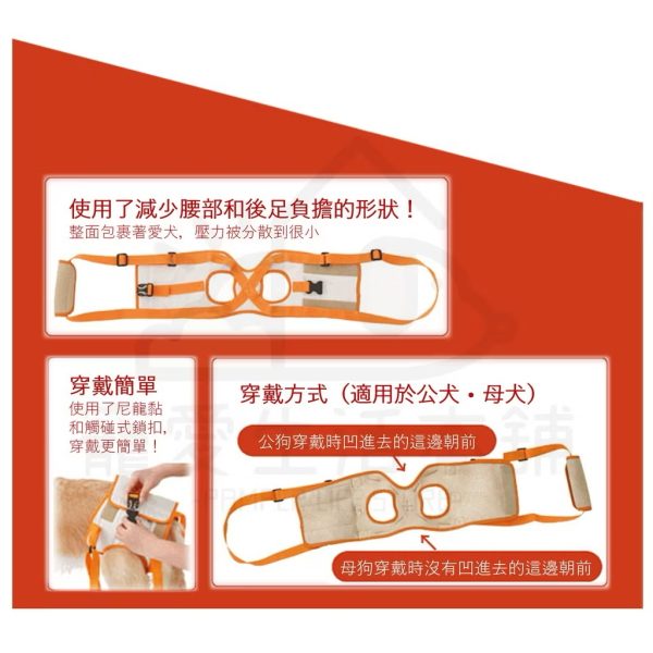 petio寵物後腳輔助帶
