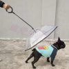 寵物c字型鏈條牽繩雨傘
