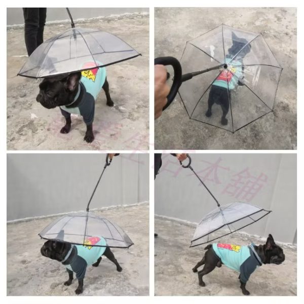 寵物c字型鏈條牽繩雨傘