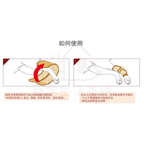 petio寵物關節輔助支撐帶四入（中號）