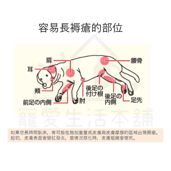 petio寵物關節輔助支撐帶四入（中號）