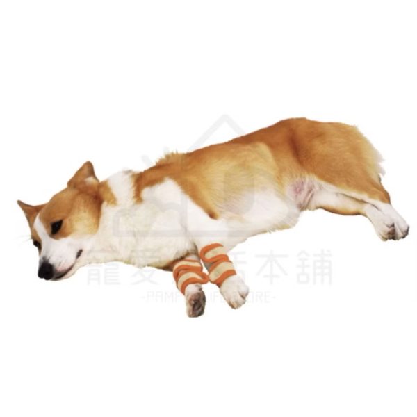 petio寵物關節輔助支撐帶四入（中號）