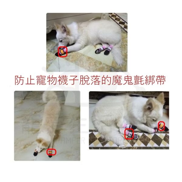 彩色魔鬼氈固定帶2cm*18cm