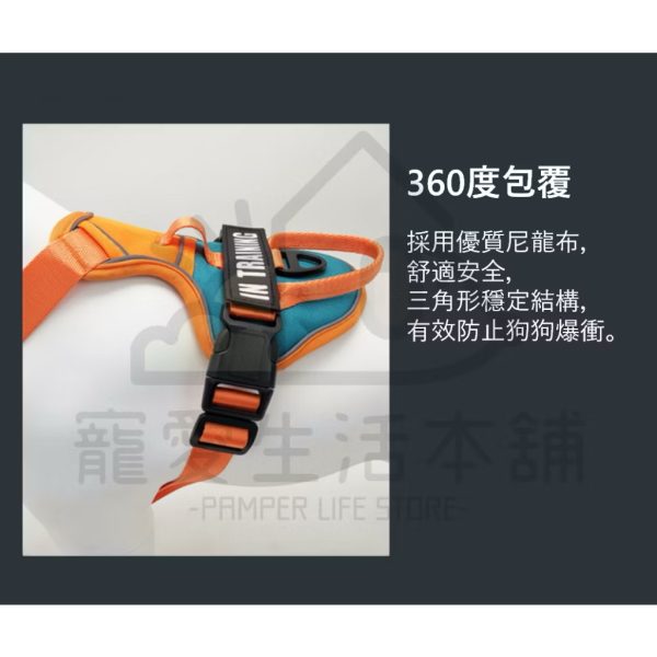 寵物撞色貼牌胸背帶