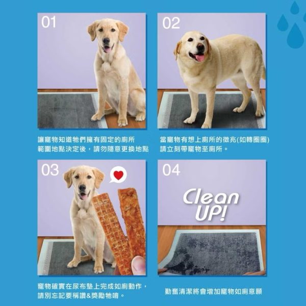 易堆 寵物尿布墊