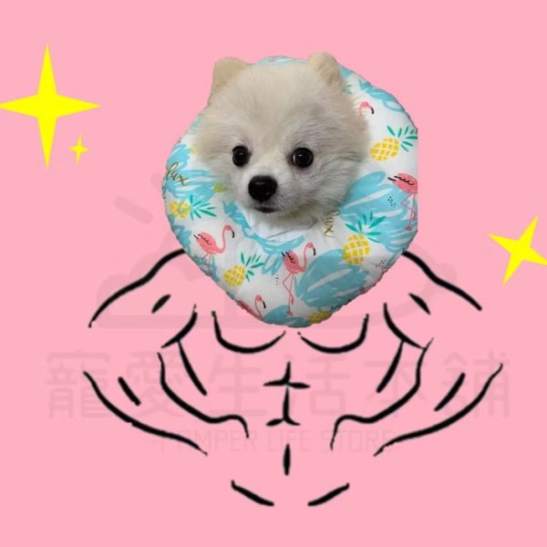 寵物伊莉莎白防舔頭套 頸圈 羞恥圈