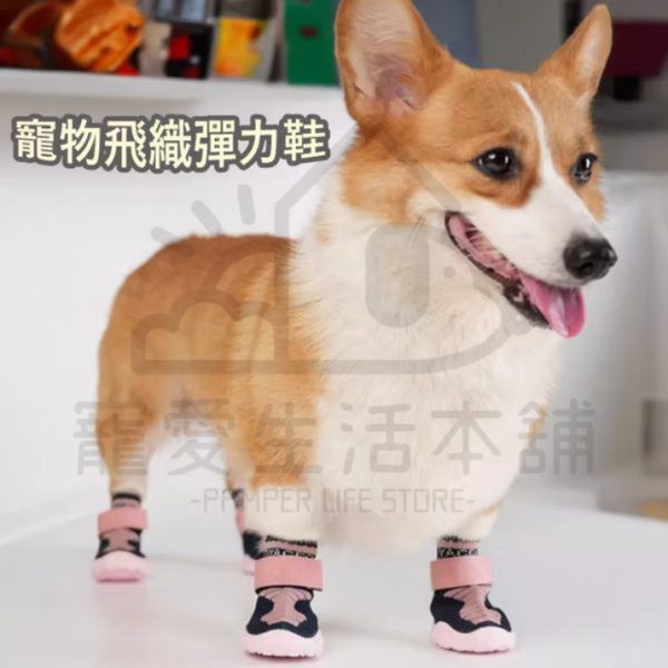 寵物飛織彈力鞋 狗狗鞋子
