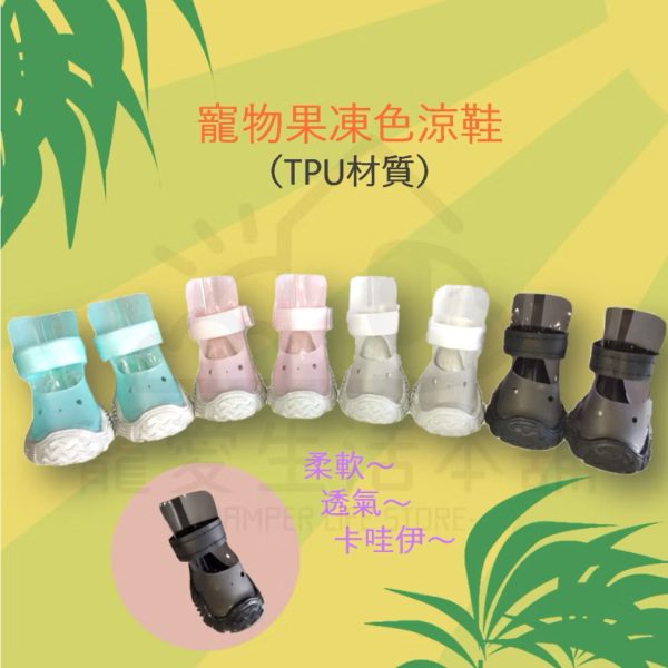 寵物tpu果凍色涼鞋