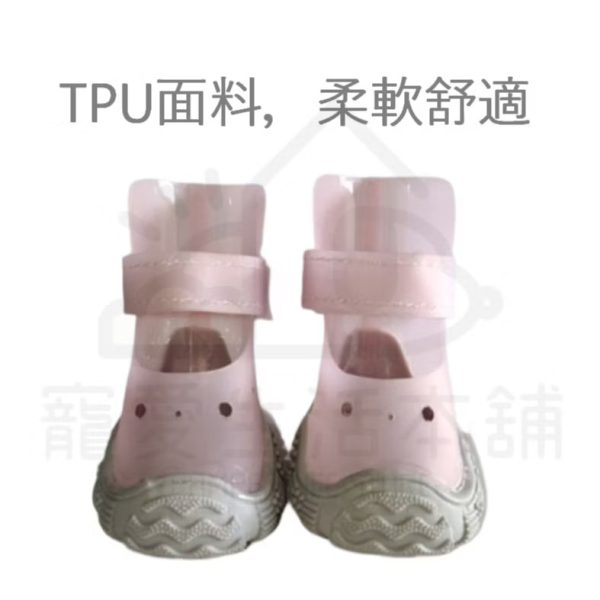 寵物tpu果凍色涼鞋