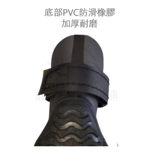 寵物tpu果凍色涼鞋