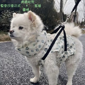 寵物夏季可牽引式降溫冰肚兜＋圍脖套裝