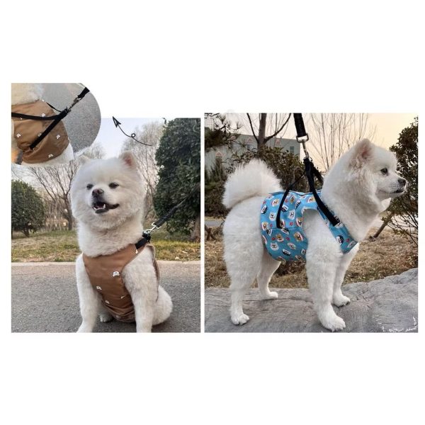 寵物夏季可牽引式降溫冰肚兜＋圍脖套裝