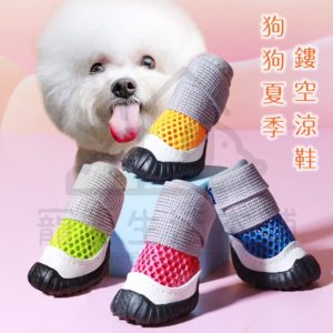 寵物夏季鏤空透氣涼鞋