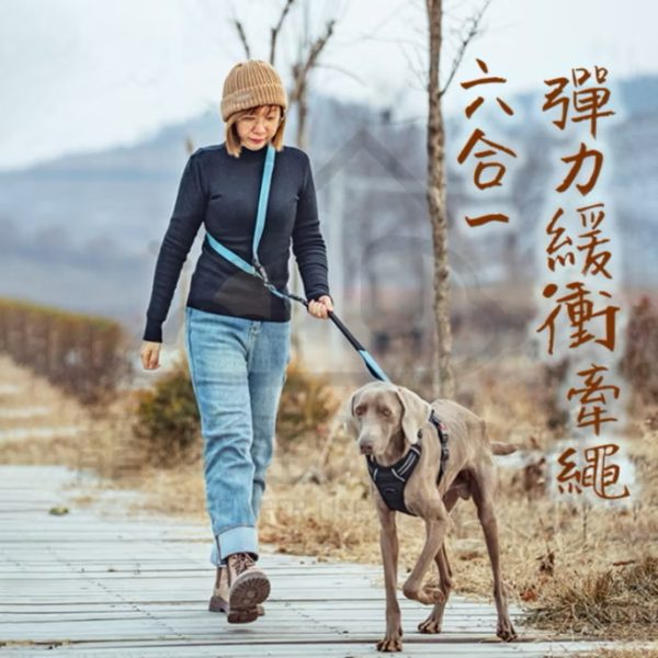 六合一彈力緩衝牽繩 斜挎牽繩