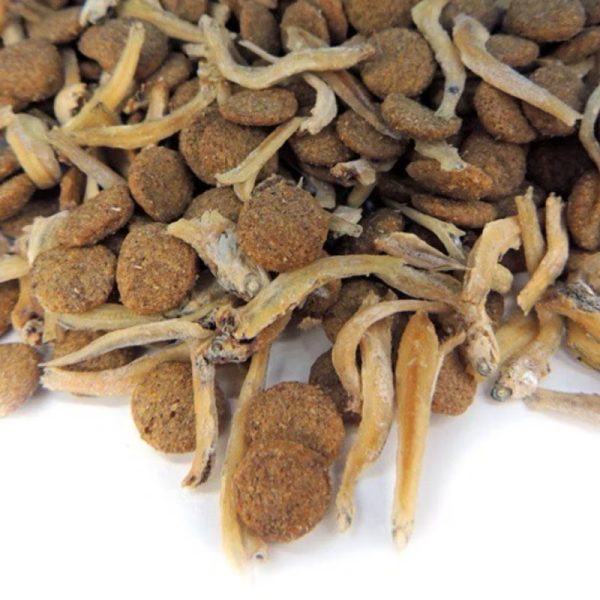 st幸福貓 貓乾糧1.5kg