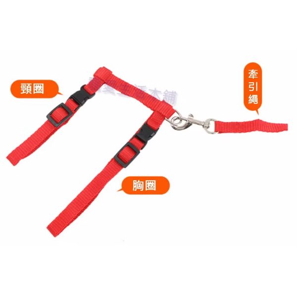 貓咪工字形胸背帶 含牽引繩