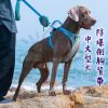 中大型犬防暴衝背心式胸背帶1 中大型犬防暴衝背心式胸背帶