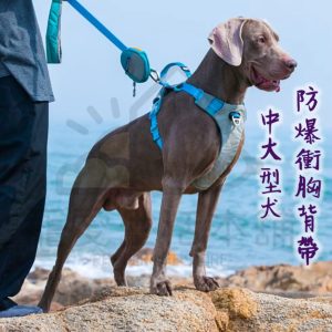中大型犬防暴衝背心式胸背帶