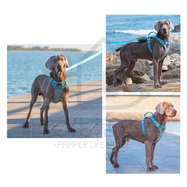 中大型犬防暴衝背心式胸背帶