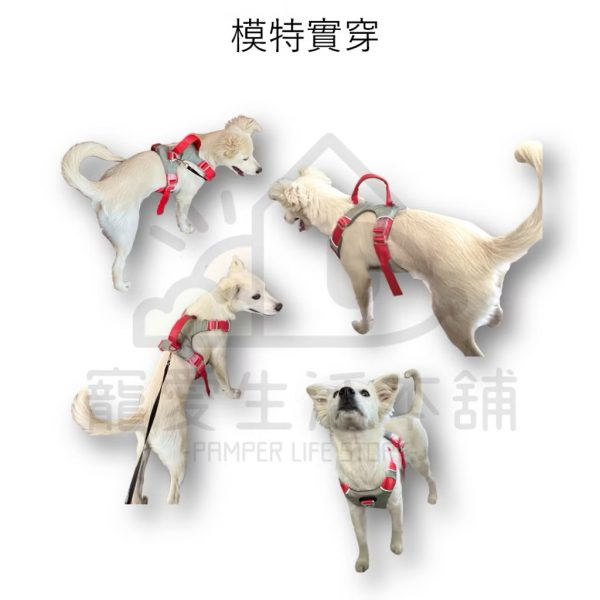 中大型犬防暴衝背心式胸背帶