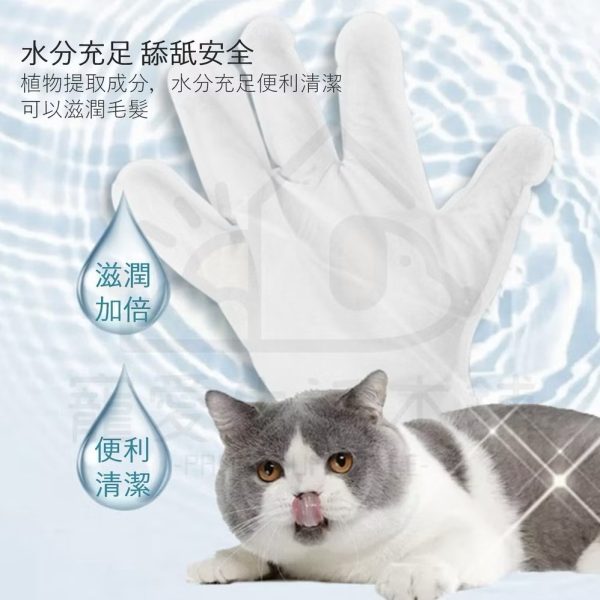 kojima寵物手套濕巾（一包6枚）