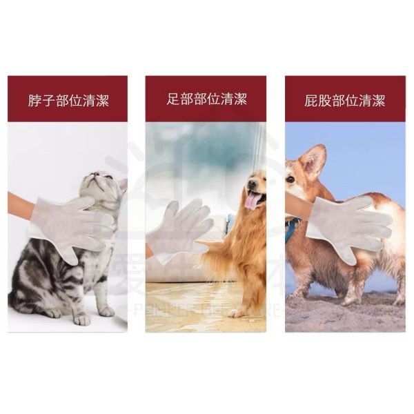 kojima寵物手套濕巾（一包6枚）