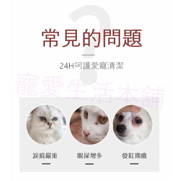 kojima寵物去淚痕專用濕紙巾 120片