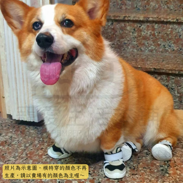 狗狗短筒防潑水內裡止滑運動鞋