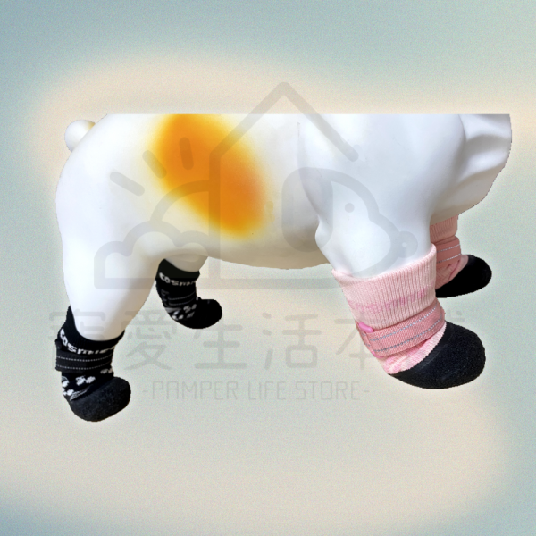 高彈力乳膠底針織寵物襪子